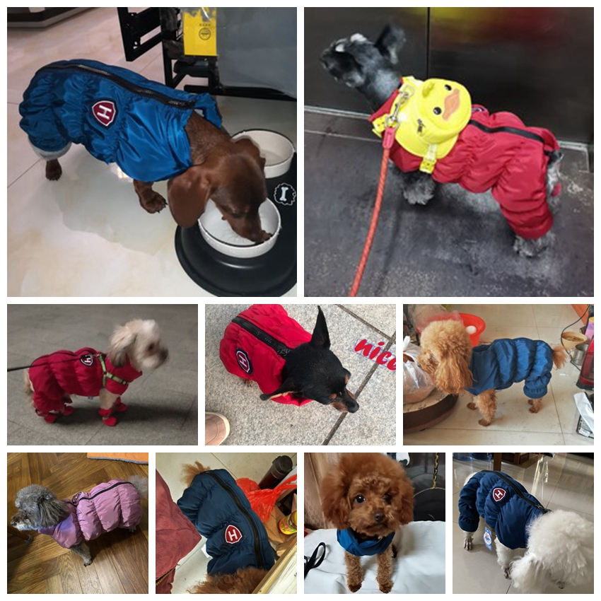 Zipper Snow Unisex Dog Waterpr - огляд і ціна Winter Clothing 1 Year Old